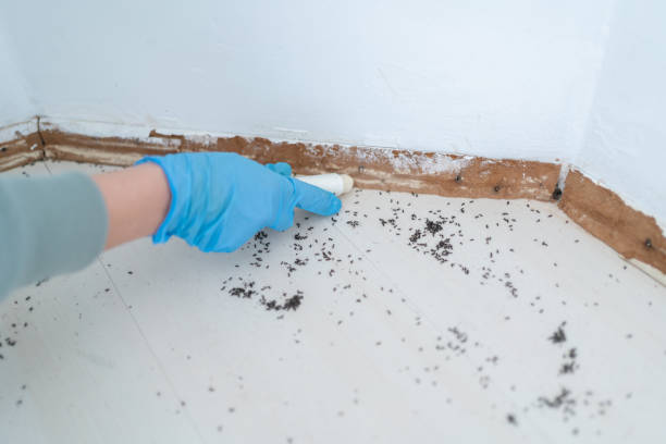 Best Pest Exclusion Services  in Tuba City, AZ